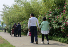 骨密度测量仪运动医学专家总结日常散步的方法可提升骨密度骨质疏松得到改善