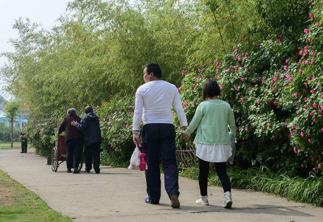  骨密度测量仪运动医学专家总结日常散步的方法可提升骨密度骨质疏松得到改善