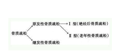 GK-7000【骨密度检测仪】品牌国康提醒骨质疏松非小事，怎样预防是关键！