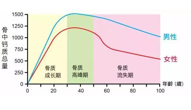 【今天小满】超声骨密度仪厂家国康重视健康剖析骨质疏松偏心这6类人！